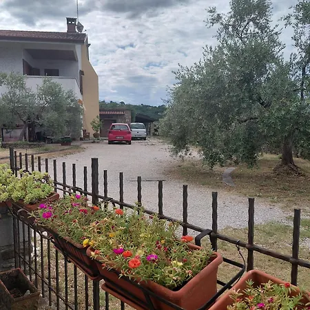 Tramonti Sull'adriatico * Múggia