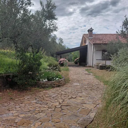 Bed & Breakfast Tramonti Sull'adriatico *